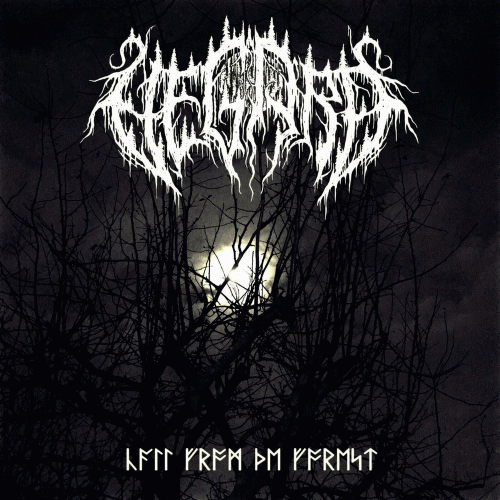 Vegard : Call from the Forest Vegard : Call from the Forest